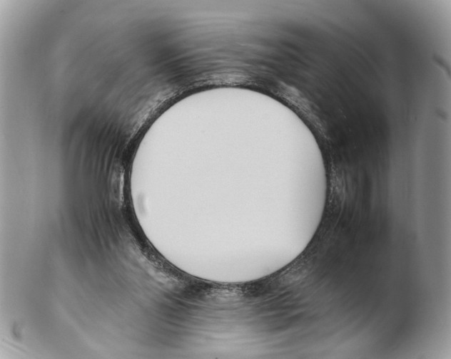 X0000102470110200809051342