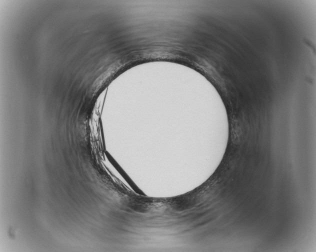 X0000102470111200809051342