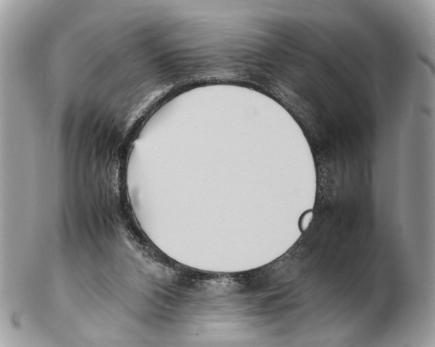 X0000102470112200809051342