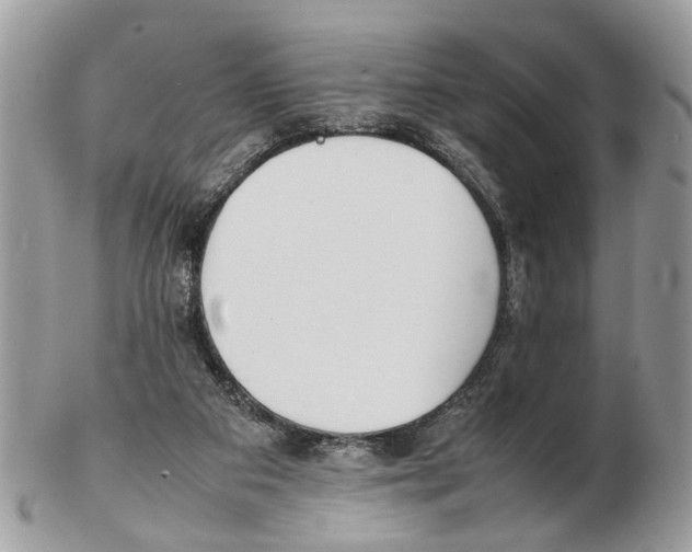 X0000102470113200809051342