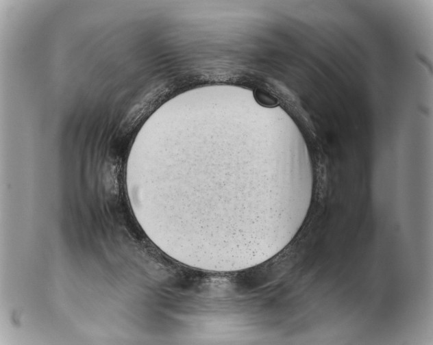 X0000102470114200809051342