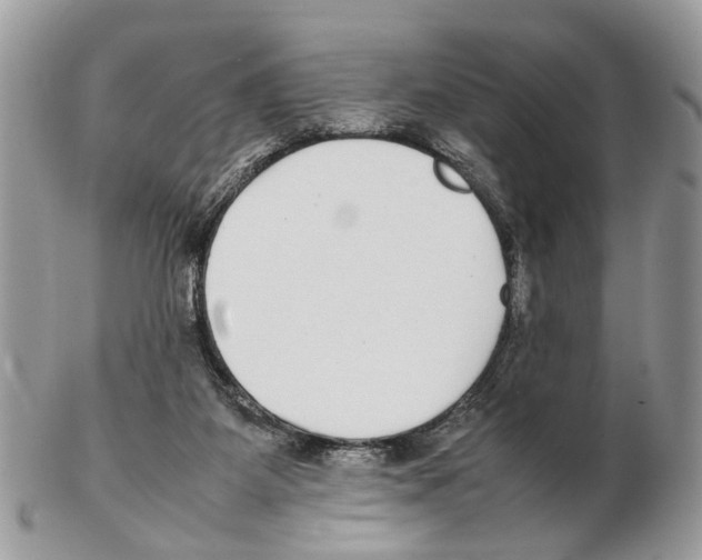 X0000102470115200809051342