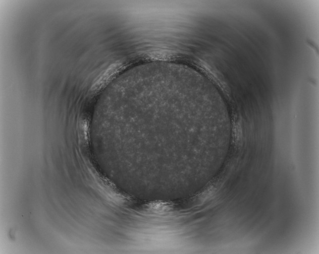 X0000102470117200809051342