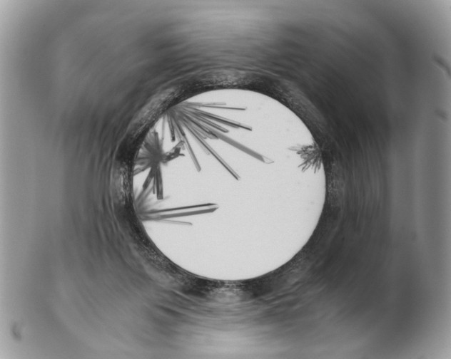 X0000102470119200809051342