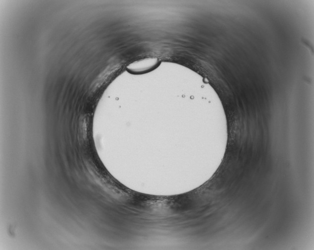 X0000102470120200809051342