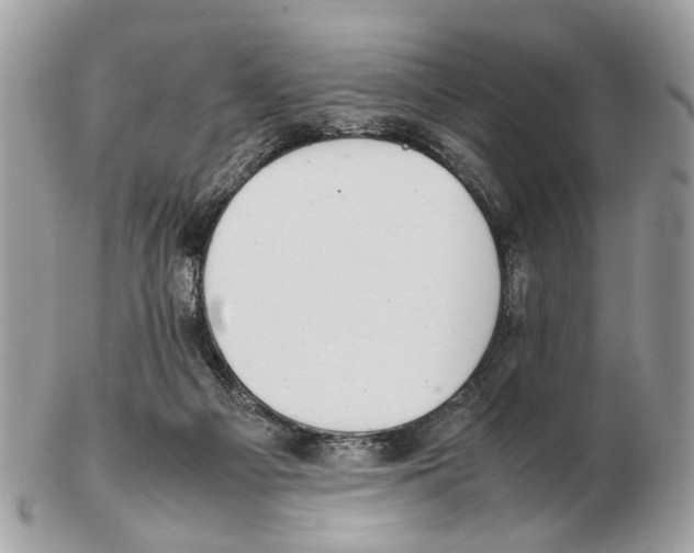 X0000102470121200809051342