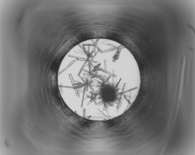 X0000102470123200809051342