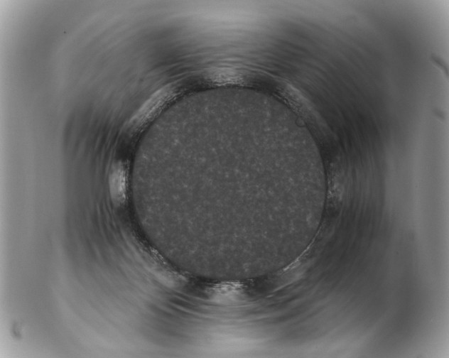 X0000102470124200809051342