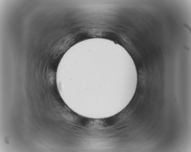X0000102470125200809051342