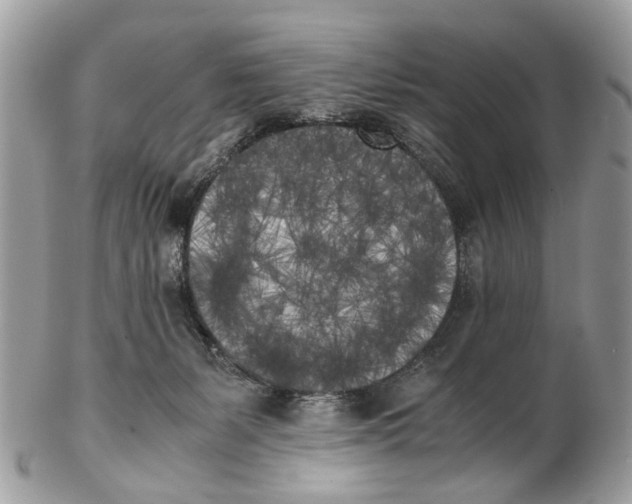 X0000102470127200809051342