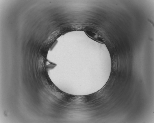 X0000102470128200809051342