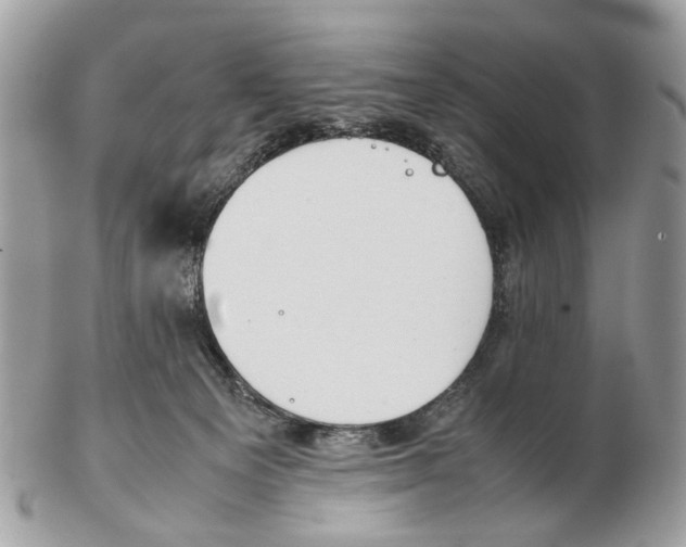 X0000102470129200809051342