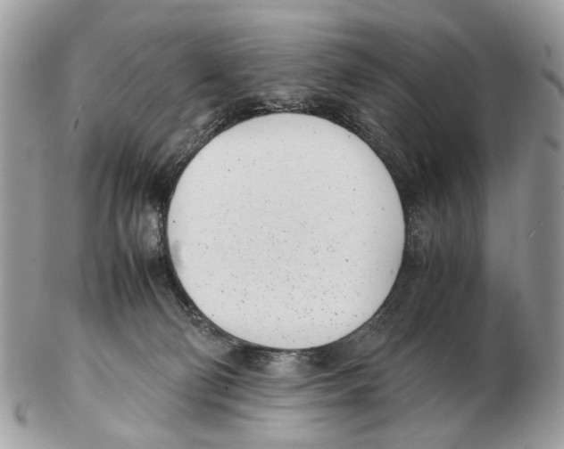 X0000102470130200809051341