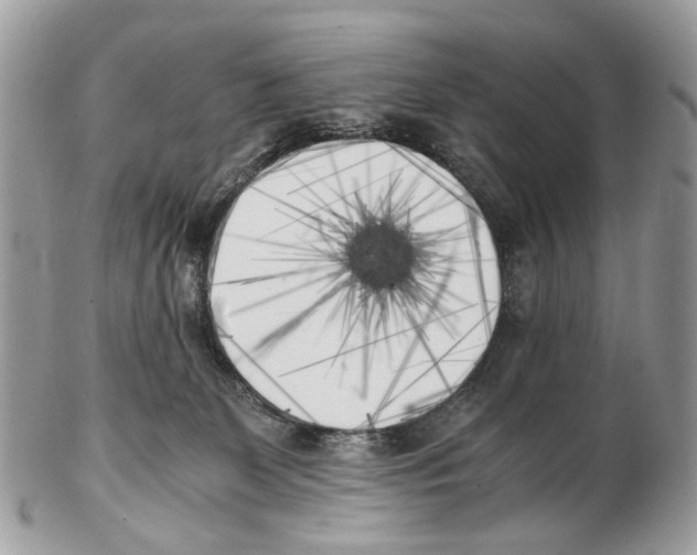 X0000102470131200809051341