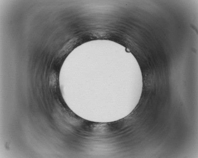 X0000102470132200809051341
