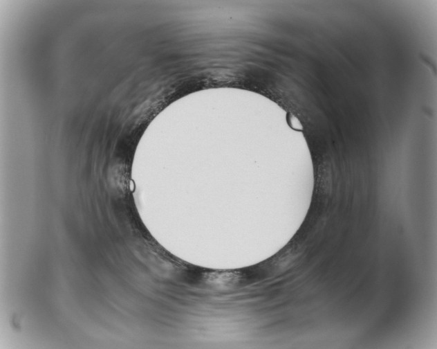 X0000102470135200809051341