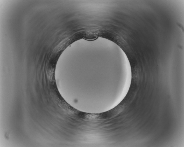 X0000102470139200809051341