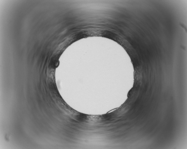 X0000102470141200809051341