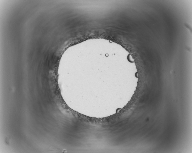 X0000102470144200809051341