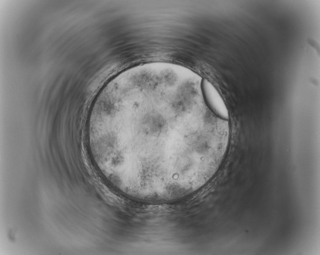 X0000102470145200809051341