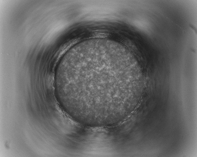 X0000102470146200809051341