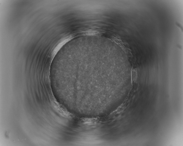 X0000102470147200809051341