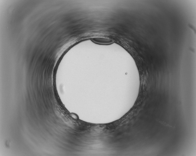 X0000102470148200809051341