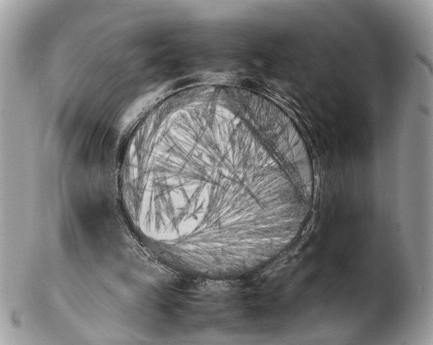X0000102470149200809051341