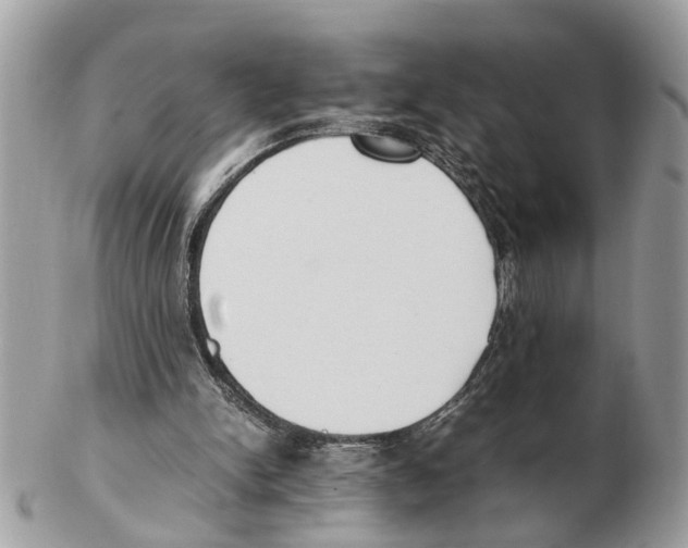 X0000102470150200809051341