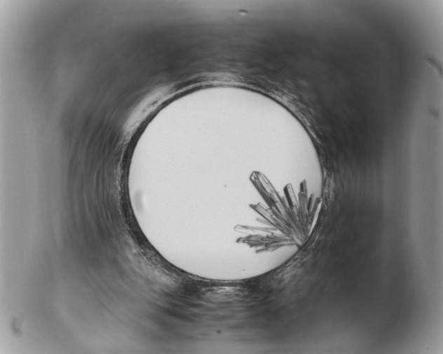 X0000102470151200809051341