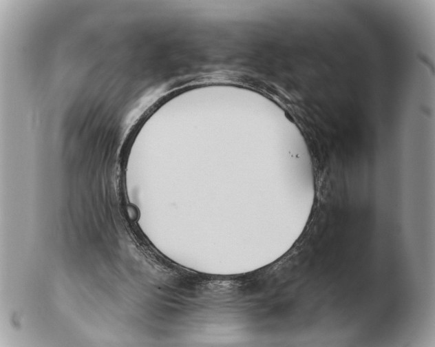 X0000102470152200809051341