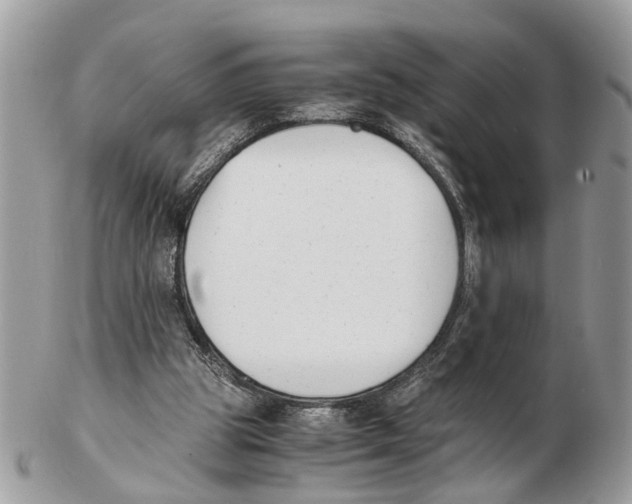 X0000102470153200809051341