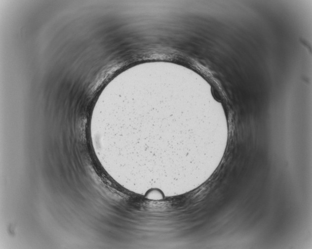 X0000102470154200809051341