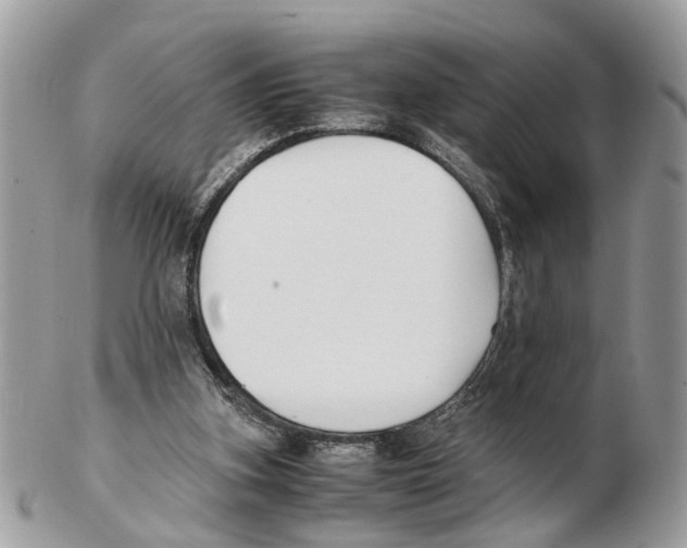 X0000102470155200809051341