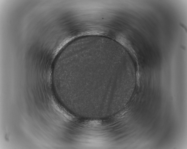 X0000102470156200809051341