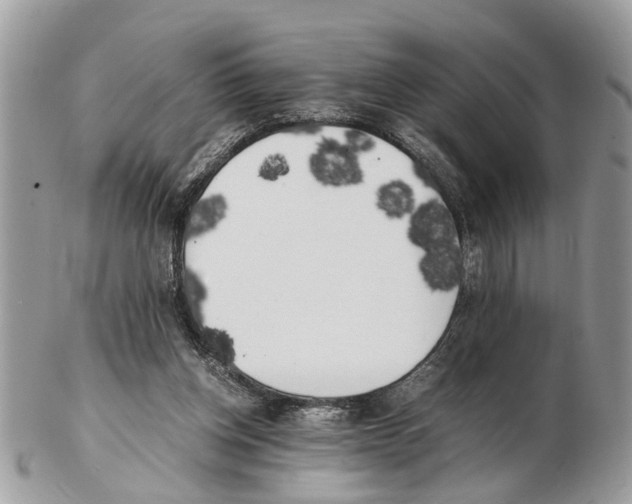 X0000102470158200809051341