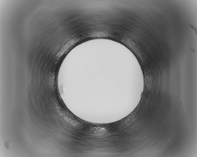 X0000102470159200809051341