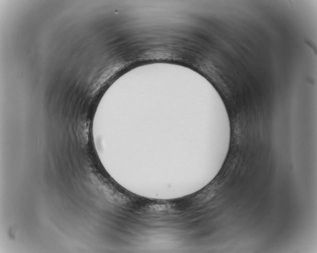 X0000102470160200809051341