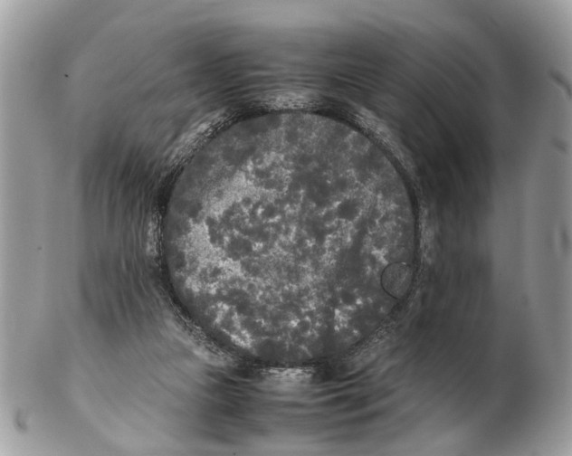 X0000102470161200809051341