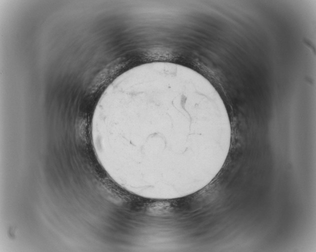 X0000102470162200809051341