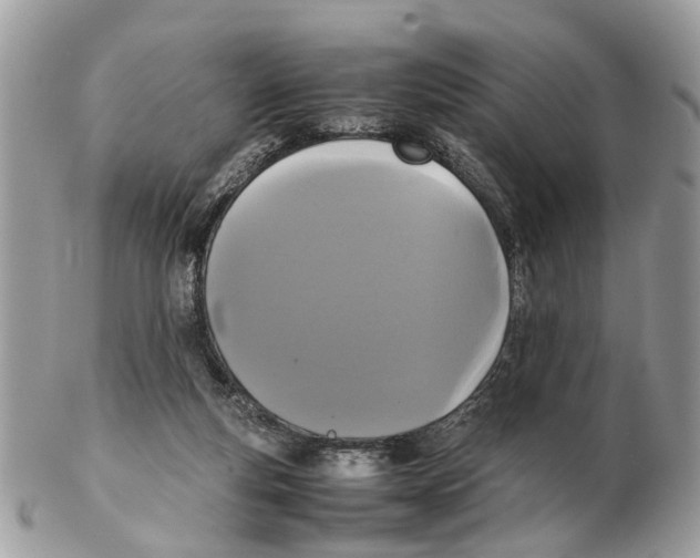 X0000102470163200809051341
