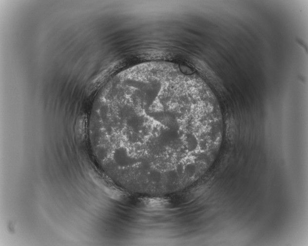 X0000102470165200809051341