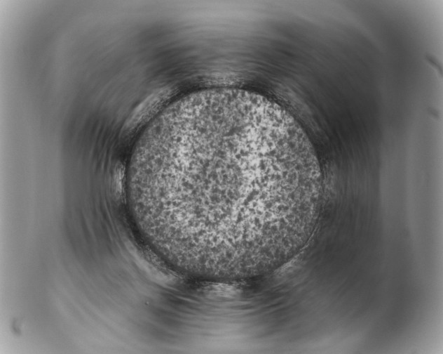 X0000102470166200809051341