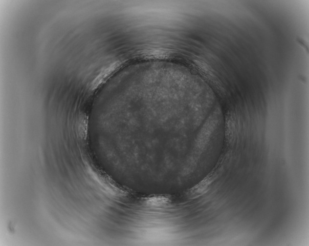 X0000102470168200809051341