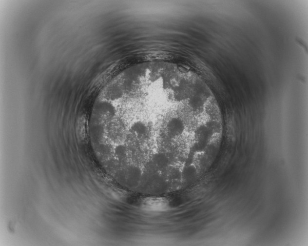 X0000102470169200809051341