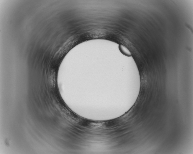 X0000102470170200809051341