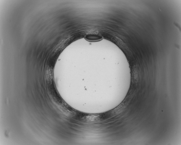 X0000102470172200809051341