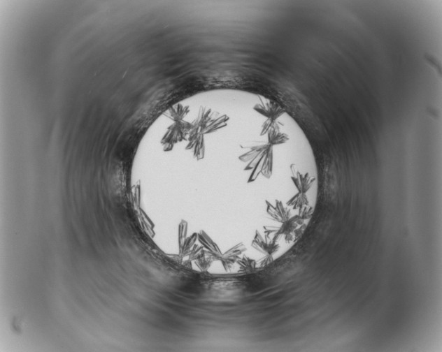 X0000102470173200809051341