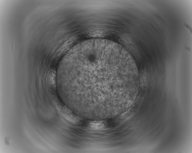 X0000102470175200809051341