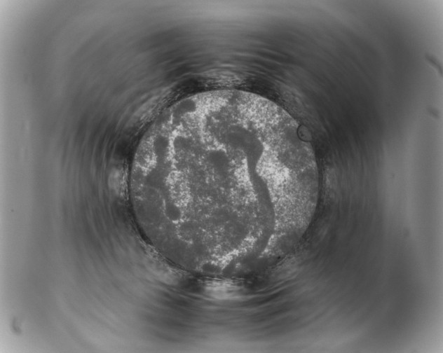 X0000102470177200809051341